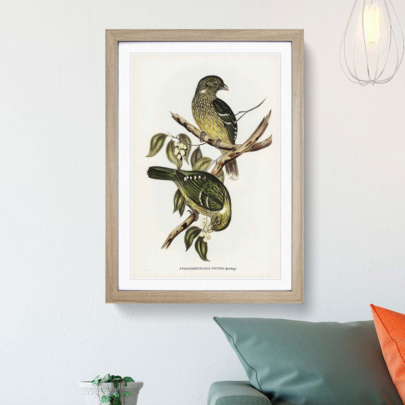 Cat Birds by Elizabeth Gould - Picture Frame Graphic Art Print, Oak Framed, 36cm H x 27cm W x 2cm D