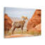 Wall Art on Canvas-723525050