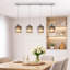 Osterhoudt 4 - Light Crystal/Kitchen Island/Cluster Modern Linear LED Pendant