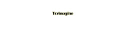 Tryimagine logo
