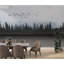 Murale Crotty Lake and Forest Landscape-1057301175