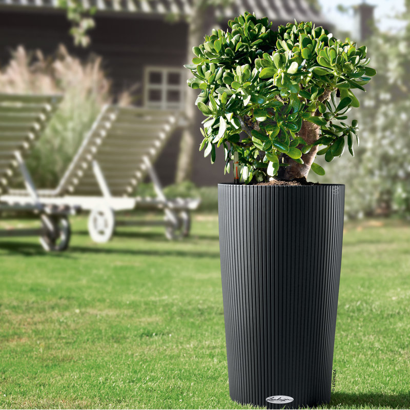 Grand pot de fleurs cylindrique en plastique auto-arrosant Cilindro Color 23 pour l'intérieur et l'extérieur, ardoise