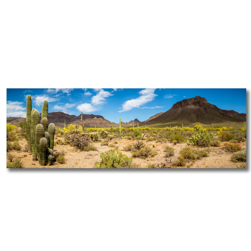 Az Dry Land - Photographie sur acrylique / aluminium, Acrylique