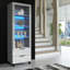 Enzo Display Cabinet-106207785