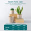 FLHPOT Ceramic Pot Planter-332050596