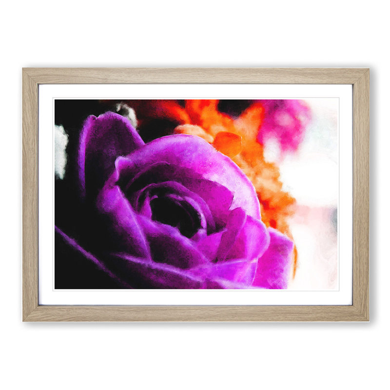 Purple Rose Flower Vol.5 - Framed Print, 48cm H x 65cm W x 2cm D, Oak Framed