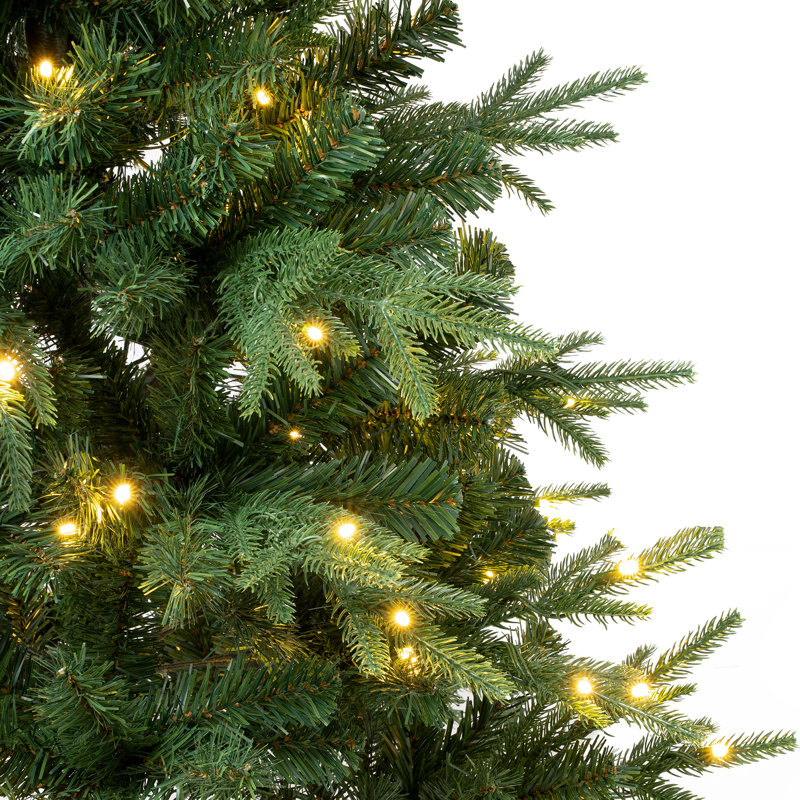 Arbre vert clair Duxbury, H 4,5 pi, Illuminé