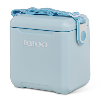 11Qt Strapped Picnic Style Cooler