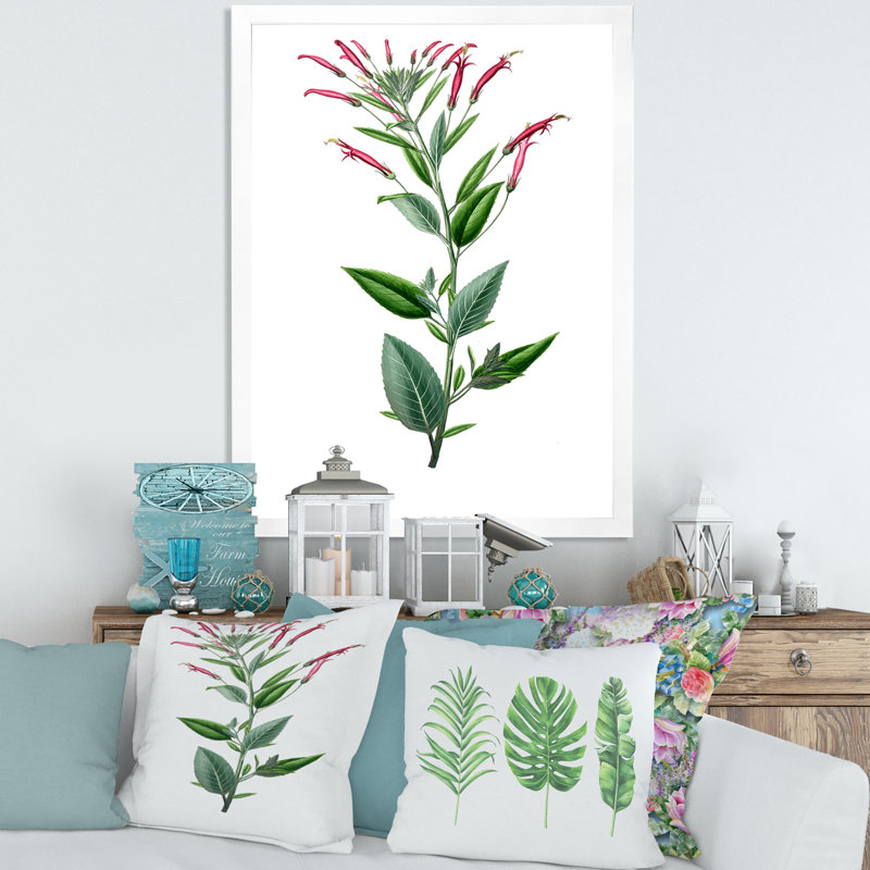 Vintage American Flora III - peinture sur toile, H 32 po x l 16 po x P 1 po, Cadre photo blanc