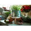 Pot de fleurs en céramique Nathen-613333264-613333271