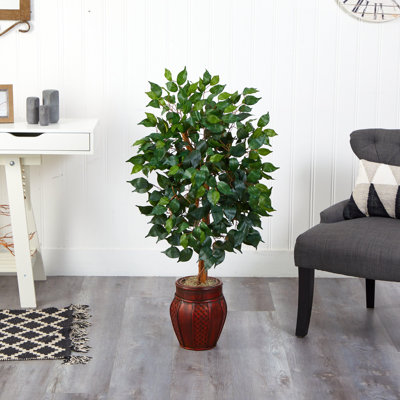 Ficus Tree with Decorative Planter