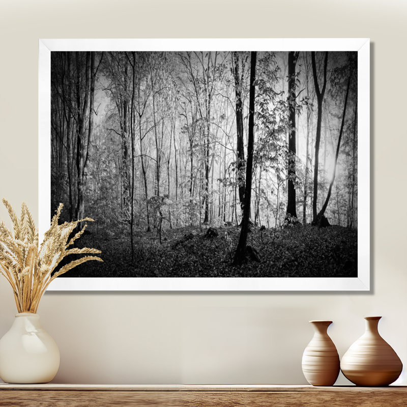 «Beautiful Forest Morning Panorama», reproduction, Cadre photo blanc, H 24 po x l 32 po