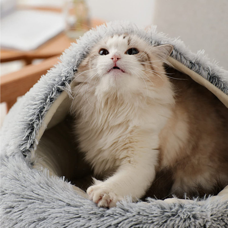 Boykins Pet Bed, 35cm H x 50cm W x 50cm D, Grey