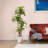 Adcock Artificial Dracaena Tree in Pot-1798418967