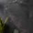 Limetech 35.43 In. X 35.43 In. Matte Porcelain Floor And Wall Tile (17.43 Sq. Ft. / Case)-102782638
