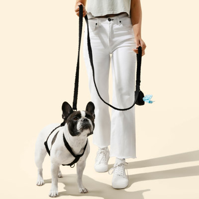 Teddy Bouclé Adjustable H Harness and Leash Walk Set with Poop Bag Pouch