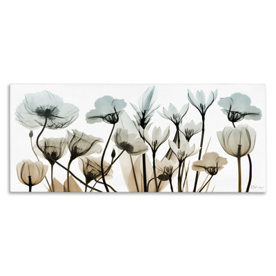 Fleurs mixtes de rayons X sur toile