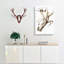 Cockeyed Squid by Carl Chun - Wrapped Canvas-55371755