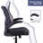 Ishwaq Task Chair