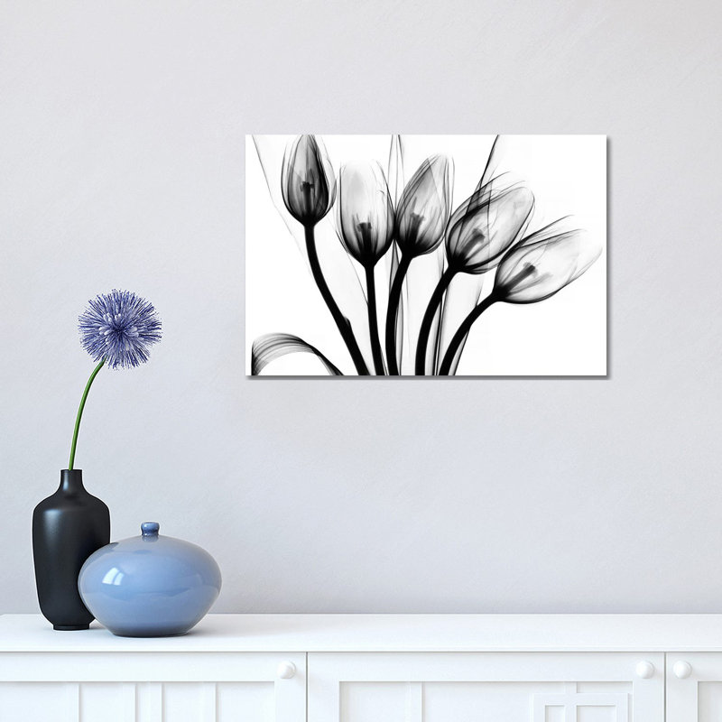 Marching Tulips 1 Piece Wrapped Canvas Wall Art, 30.48 cm H x 45.72 cm W