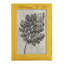 Blossfeldt Botanical III, reproduction d'art encadrée-2017380679-2017380731
