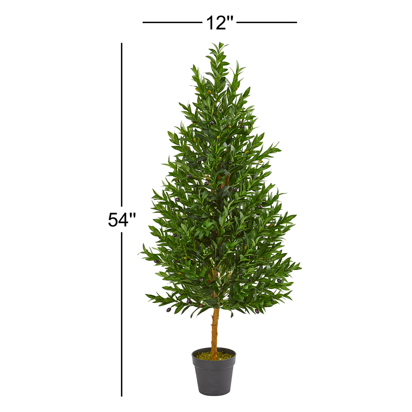 Carla 54" Olive Topiary in Pot