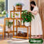Plant Stand - Set of 5