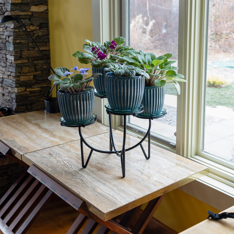Black Iron Mid-Century Modern Multi-Tier Plant Stand