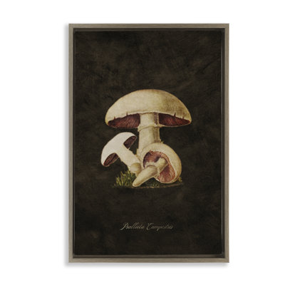 Vintage Portobello Mushroom Floater Canvas by Tina Higgins Designs, Inc.