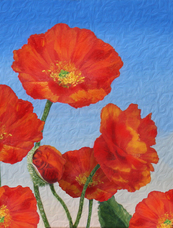 Double Sided Polyester Garden Flag, 28" H x 40" W