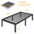 Alwyn Home Bed Frame No Box Spring Need 16 Inch Heavy Duty Tall Platform Bed Frame-2026704413