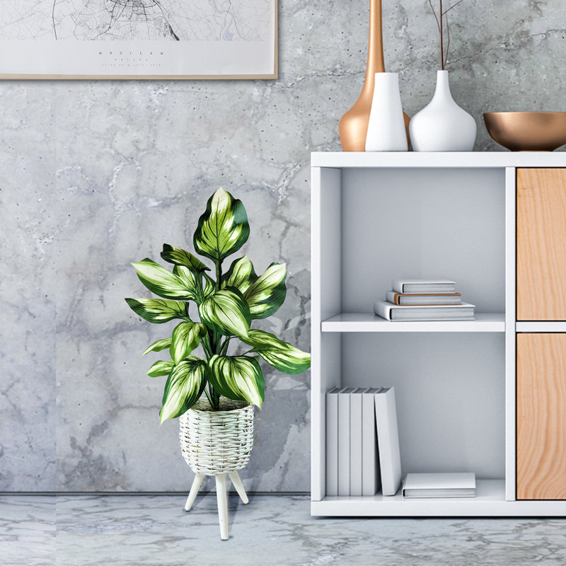 Plante à feuillage artificiel dans un panier 22,00 "Carbaugh