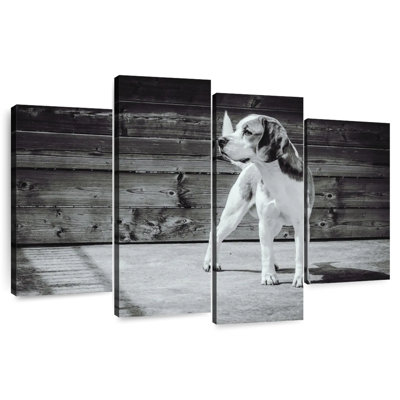 Monochrome Beagle