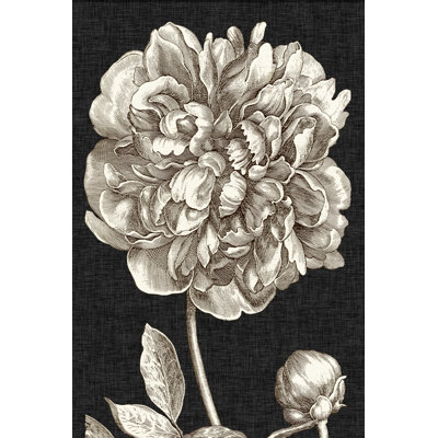 " Dramatic Peony I " by Vision Studio Painting Print