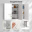 Back To Wall Toilet Unit