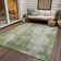 Machine Washable Indoor/Outdoor Claudian ACN1649 Sage Rug