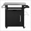 Chariot grill 39,5 "avec armoire de rangement