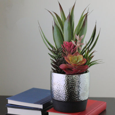 15" Green and Silver Artificial Potted Succulents