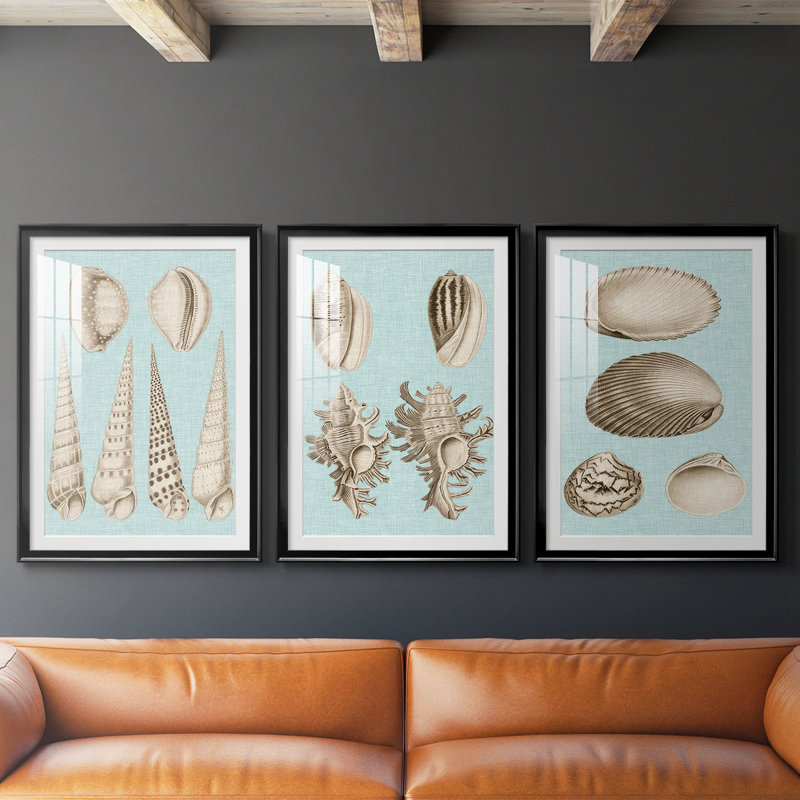 Sépia et coquillages aqua VI - reproduction encadrée sur mesure de qualité supérieure mate - 3 pièces, Noir