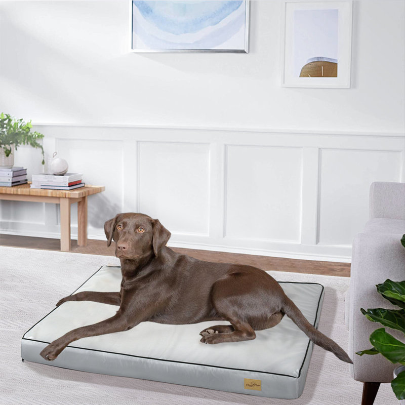 Pet Bed Orthopedic Cotton Pet Bed, Extra large (3.9" H x 47.2" W x 35.4" D)