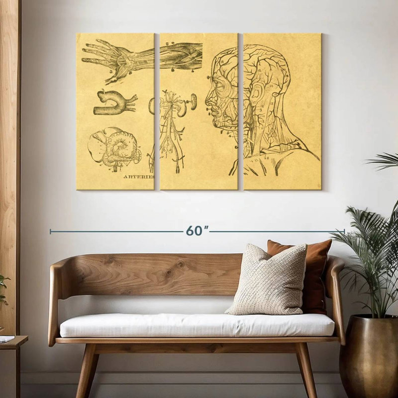 Esquisse d'art Alcaraz, H 32 po x l 50 po