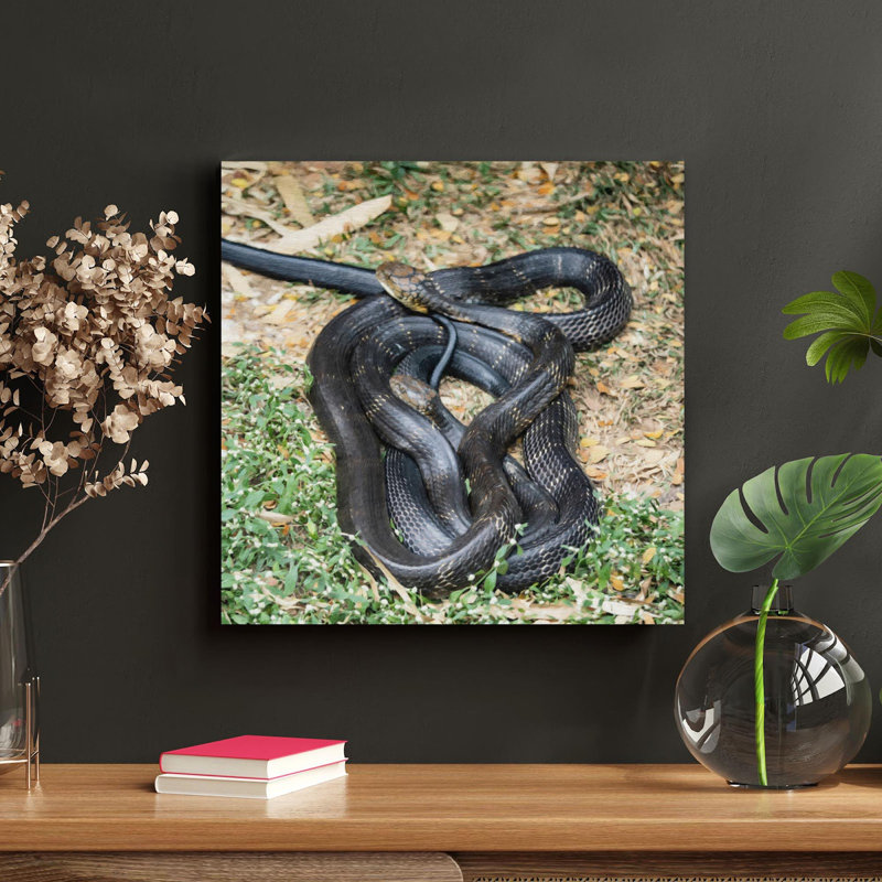 «A Long Black Snake On The Land», peinture sur toile tendue, H 32 po x l 32 po