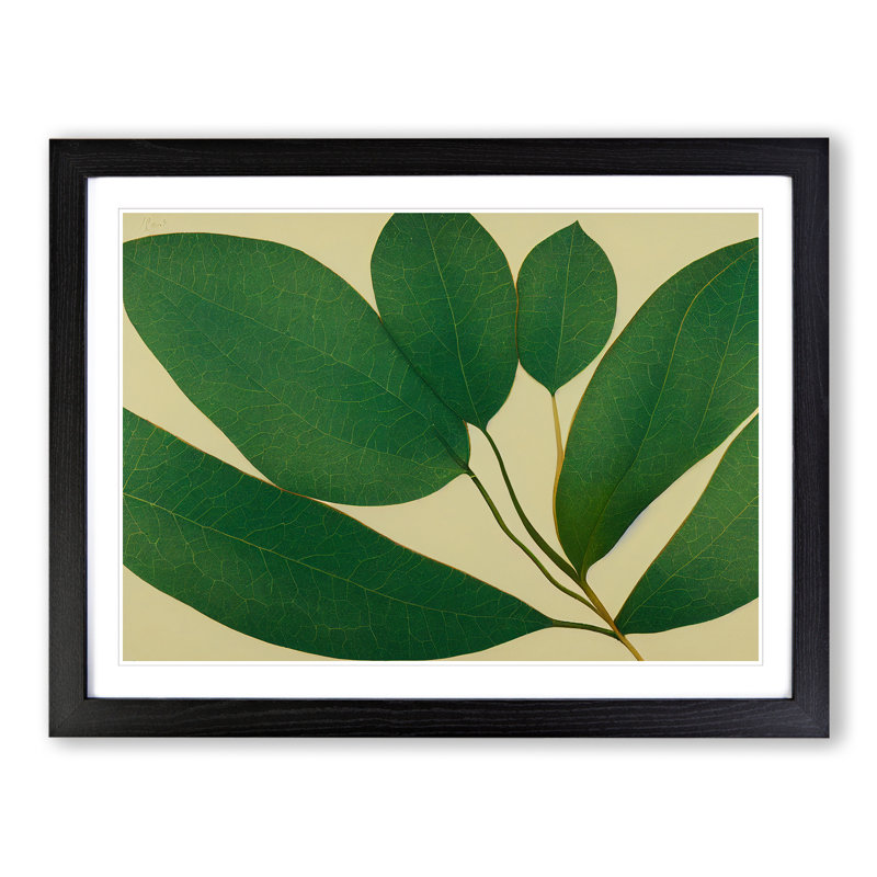 Picturesque Leaf - Single Picture Frame Print, Black Framed, 46cm H x 64cm W x 2cm D