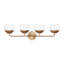 Avoca 4 Light Frosted Dimmable Vanity Light-668641011