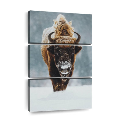Winter Buffalo sur toile, ensemble de 3 pièces
