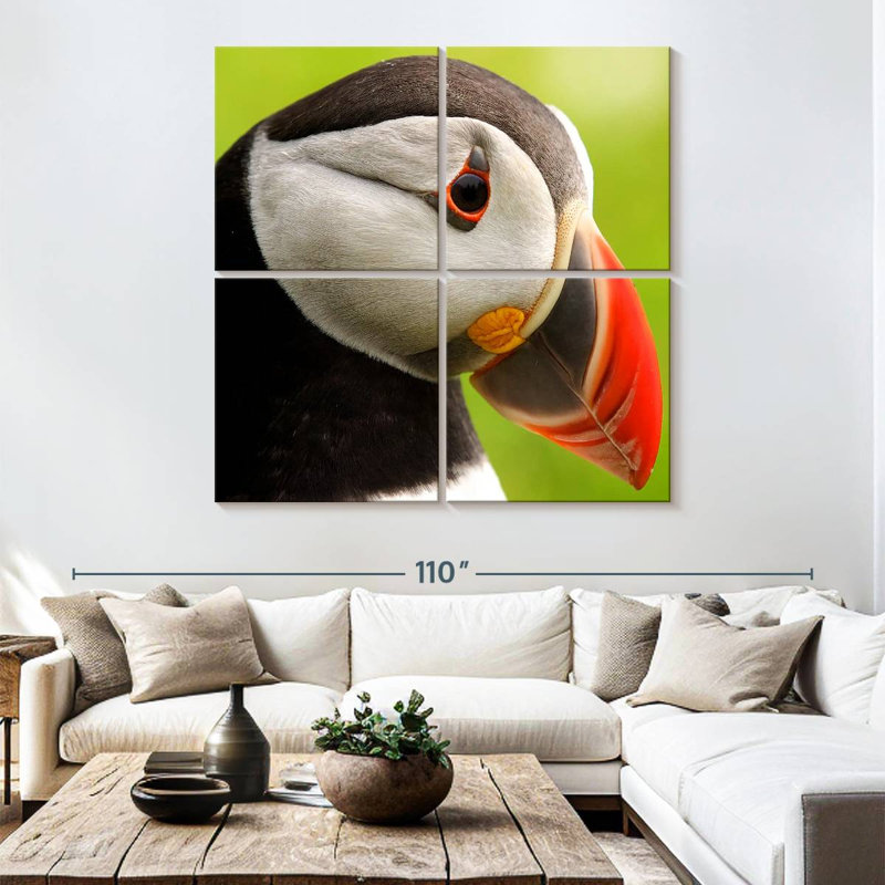 Brampt Wild Puffin, 38" H x 38" W