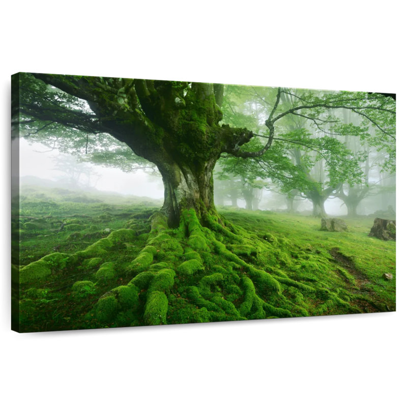 Harnek Mossy Tree, 8" H x 12" W
