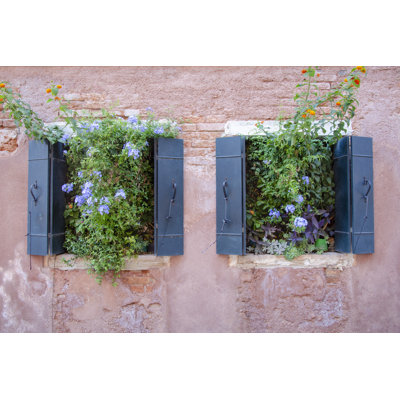 Fleurs de fenêtre italiennes II