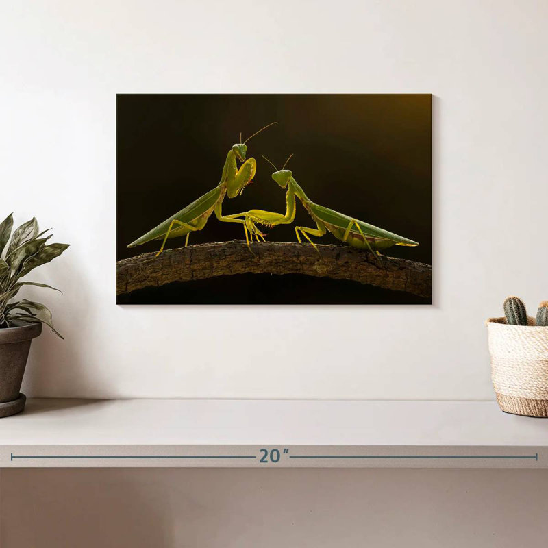 Brampt Praying Mantis Duo, 8" H x 12" W