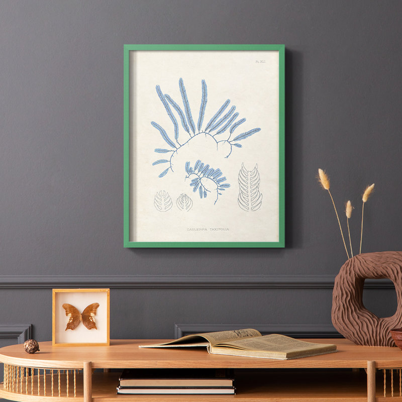 «Blue Marine Algae II», reproduction encadrée - bois massif, Vert, H 10 po x l 8 po